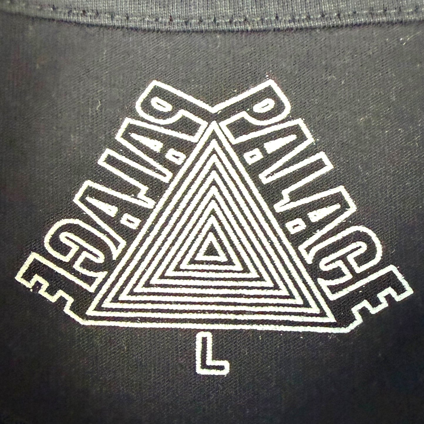 Palace Longsleeve (L)