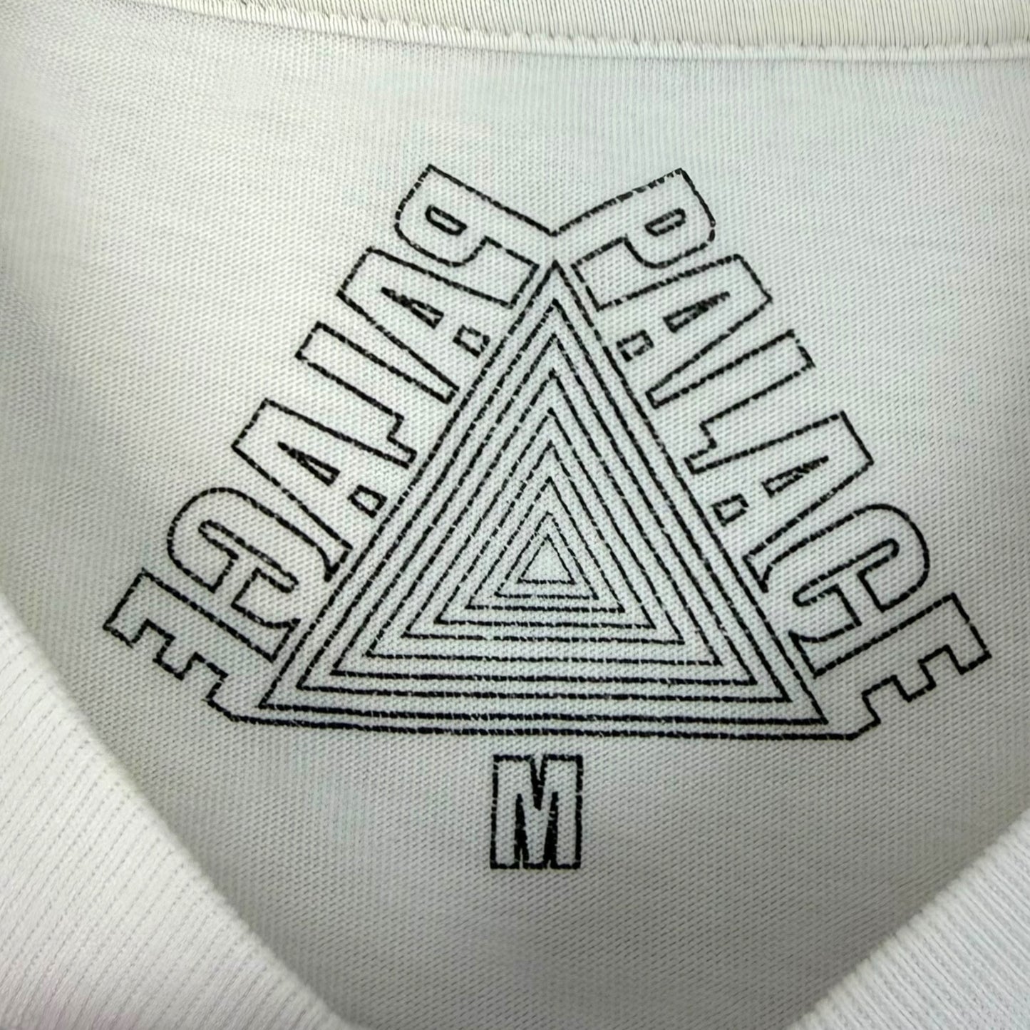 Palace Longsleeve (M)